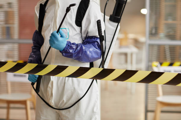 Professional Hoarding Cleanup technician working in Tavares, FL
